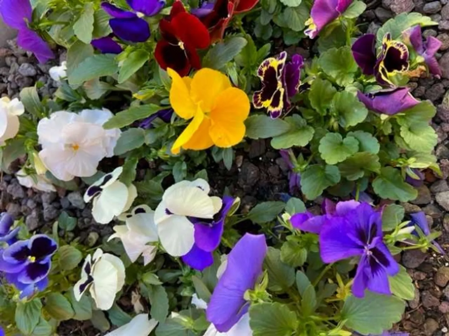 Elegante 3,5 Zimmer-Wohnung mit Seeblick - Foto 7 von 20