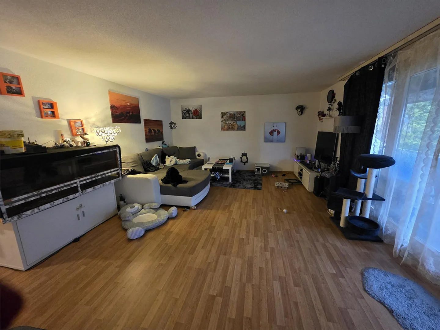 Nachmieter gesucht auf 1.Marz 2026 - Foto 8 von 10