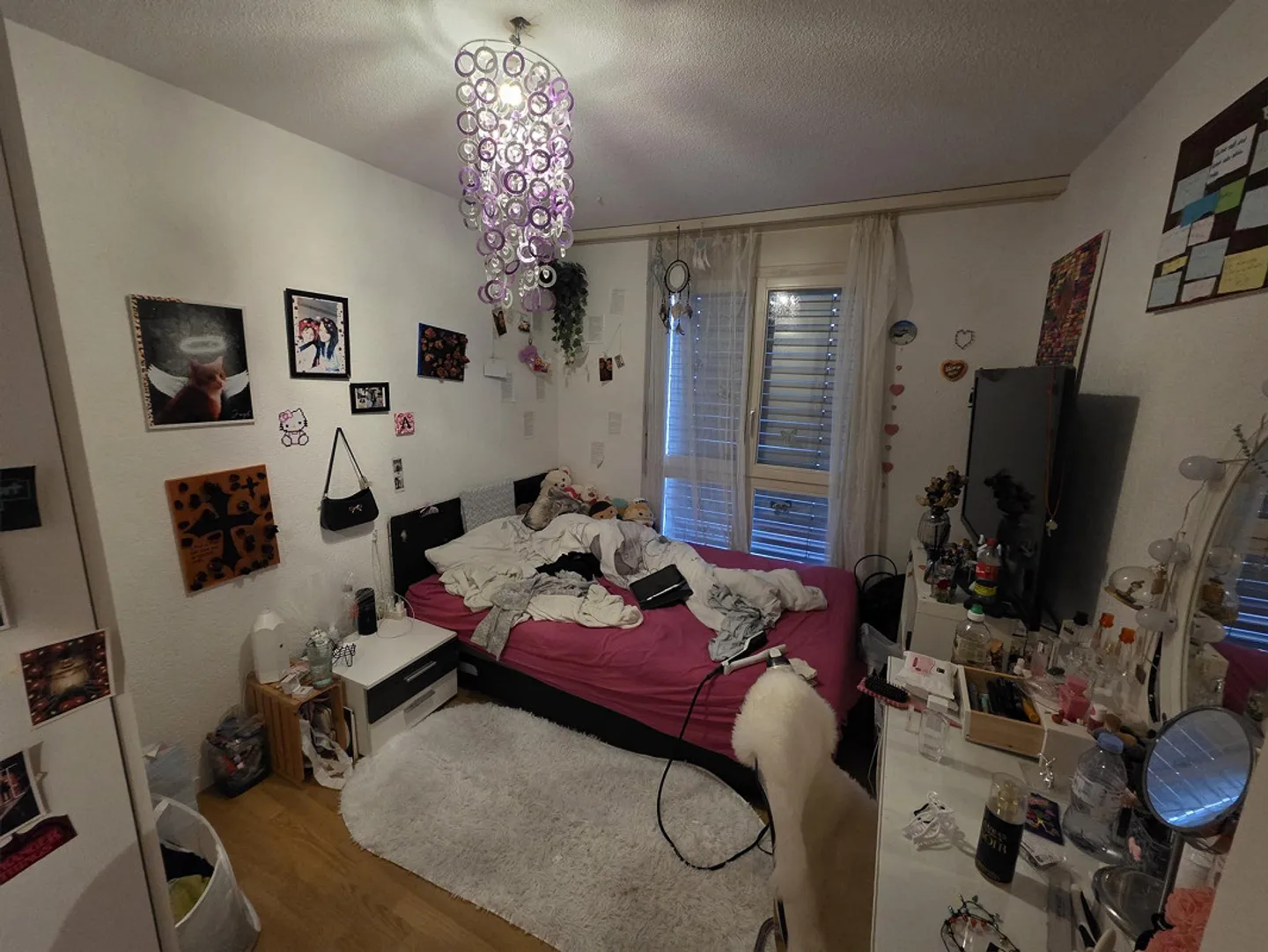 Nachmieter gesucht auf 1.Marz 2026 - Foto 7 von 10