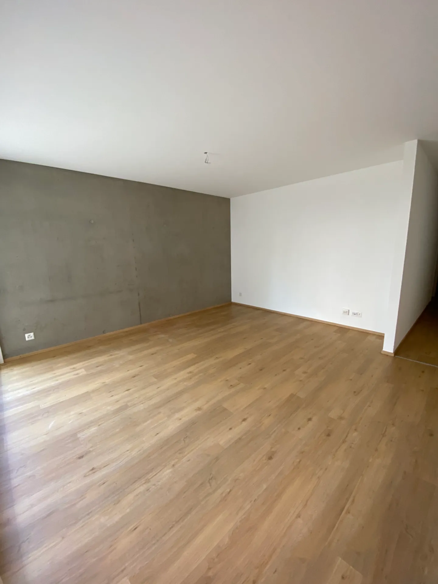 3.5-room apartment - Photo 3 of 7