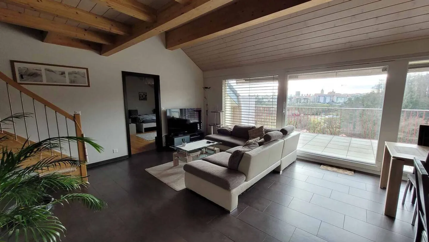Attique à vendre - Photo 3 sur 13