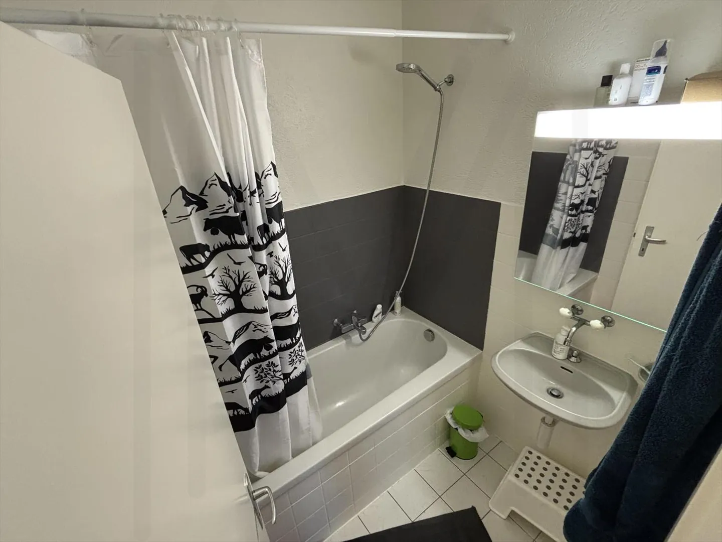 4.5 Room Apartment - Photo 7 of 11