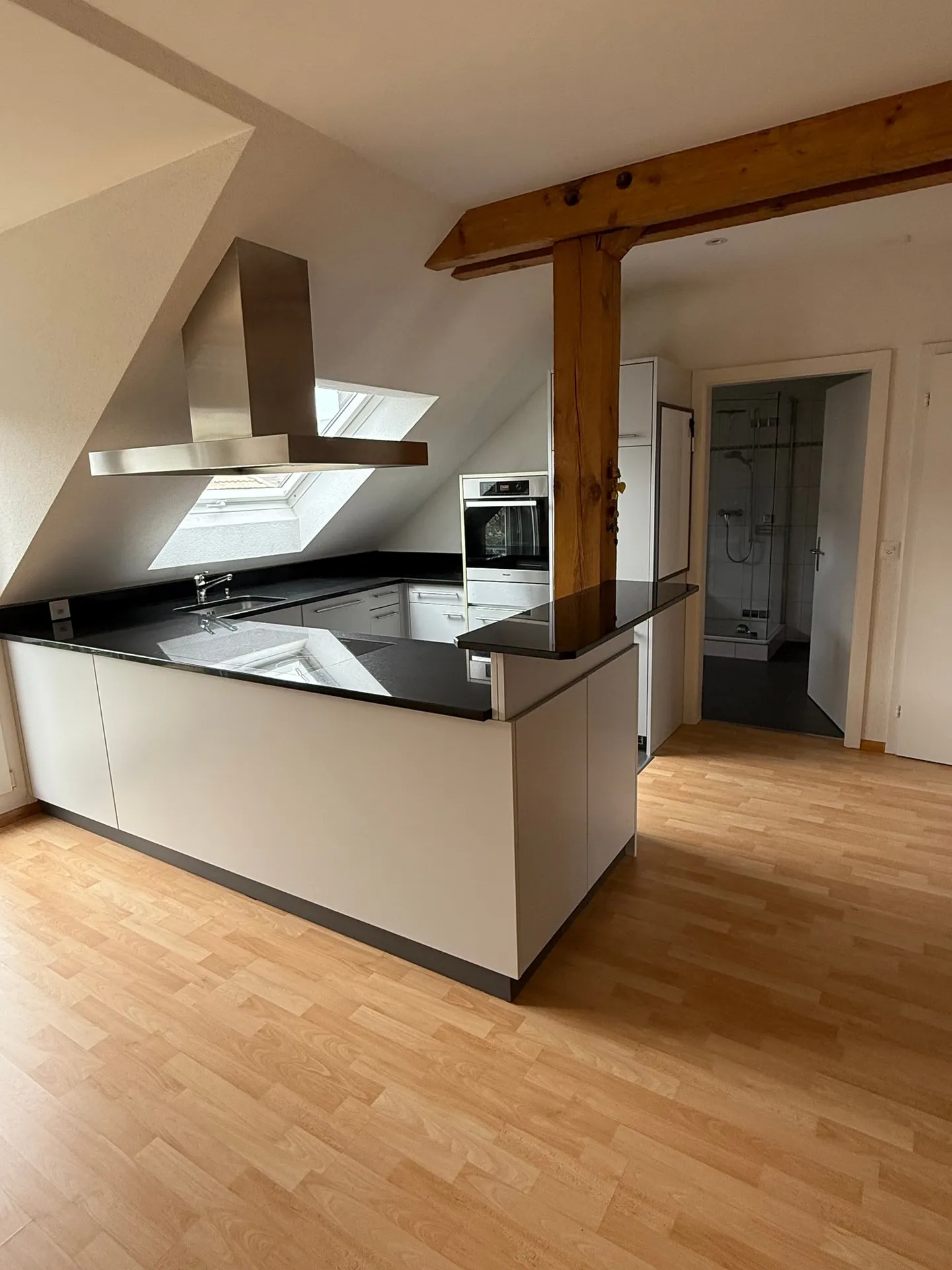 Appartamento attico elegante di 3,5 stanze con balcone a Basilea - Foto 3 di 21