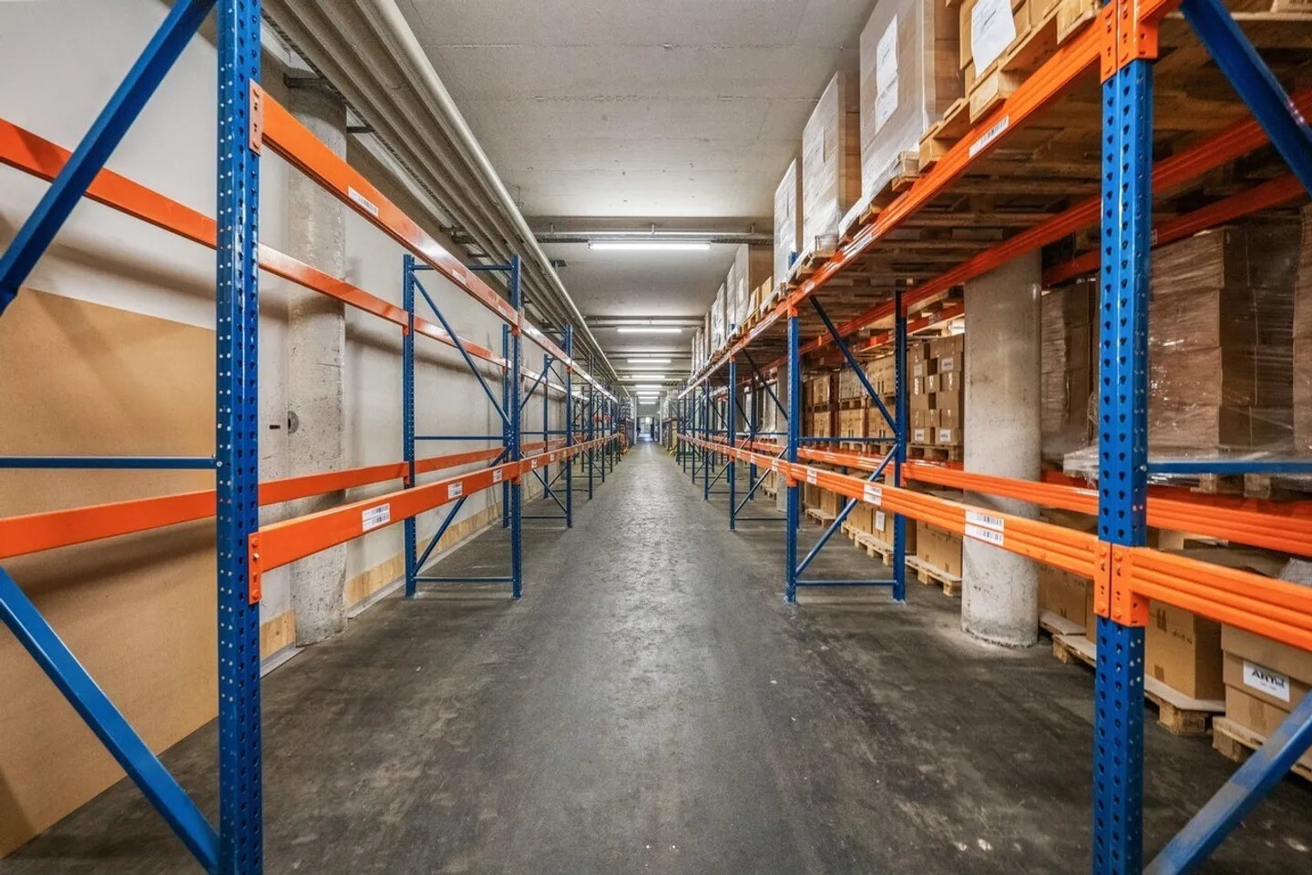 Surfaces commerciales spacieuses avec rampes de chargement pratiques à Schmitten FR - Photo 3 sur 12