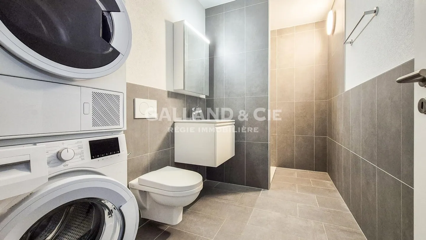 3.5 Room Apartment - Photo 8 of 8