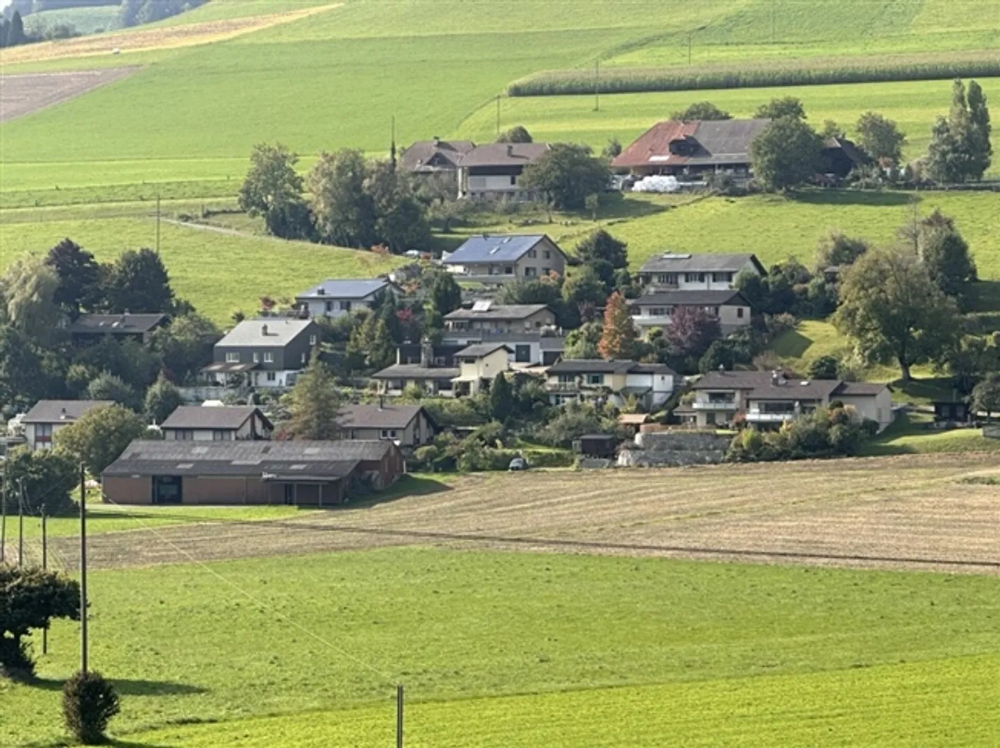 Detached Single-Family House - Photo 3 of 9