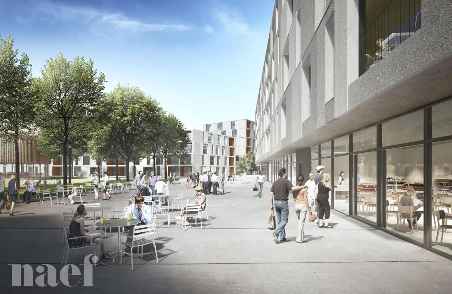 3.5 Room Apartment - Photo 2 of 2