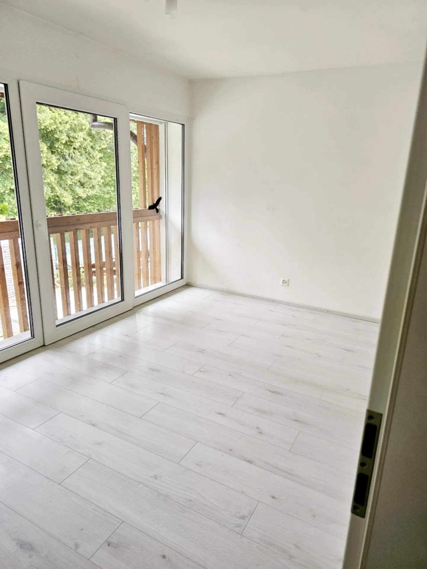 3.5 Room Apartment - Photo 8 of 15