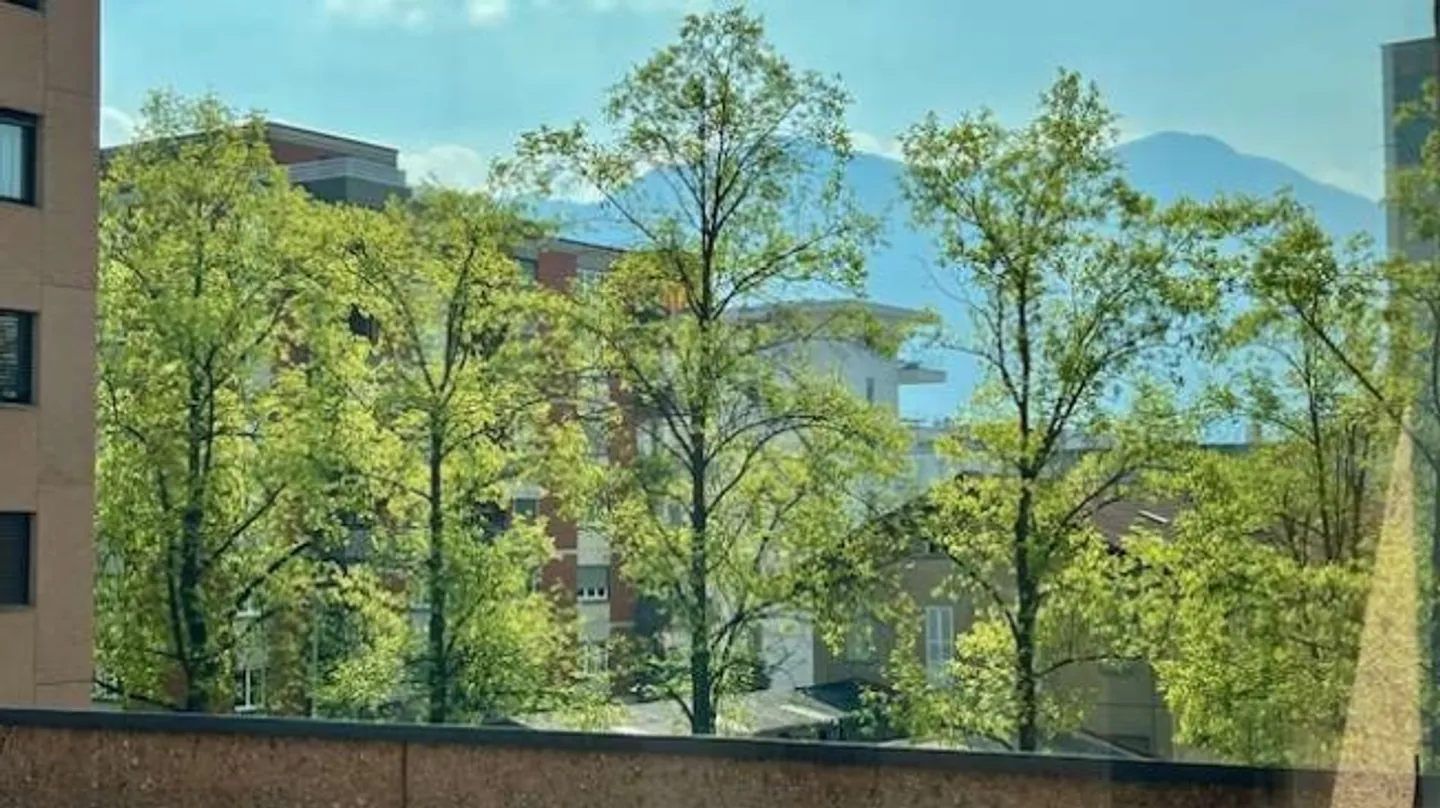 Office of the University of Lugano - Photo 7 of 20