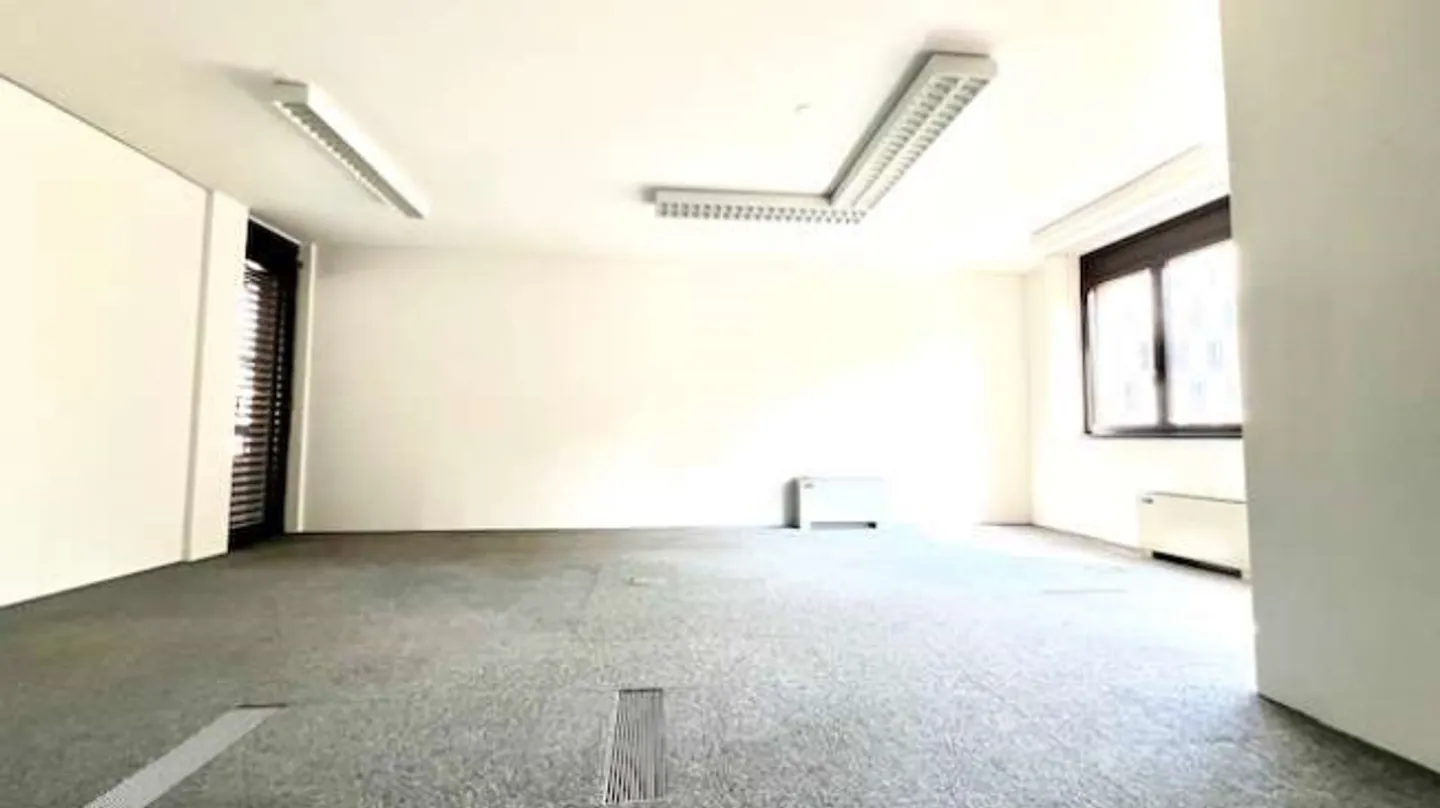 Office of the University of Lugano - Photo 9 of 20