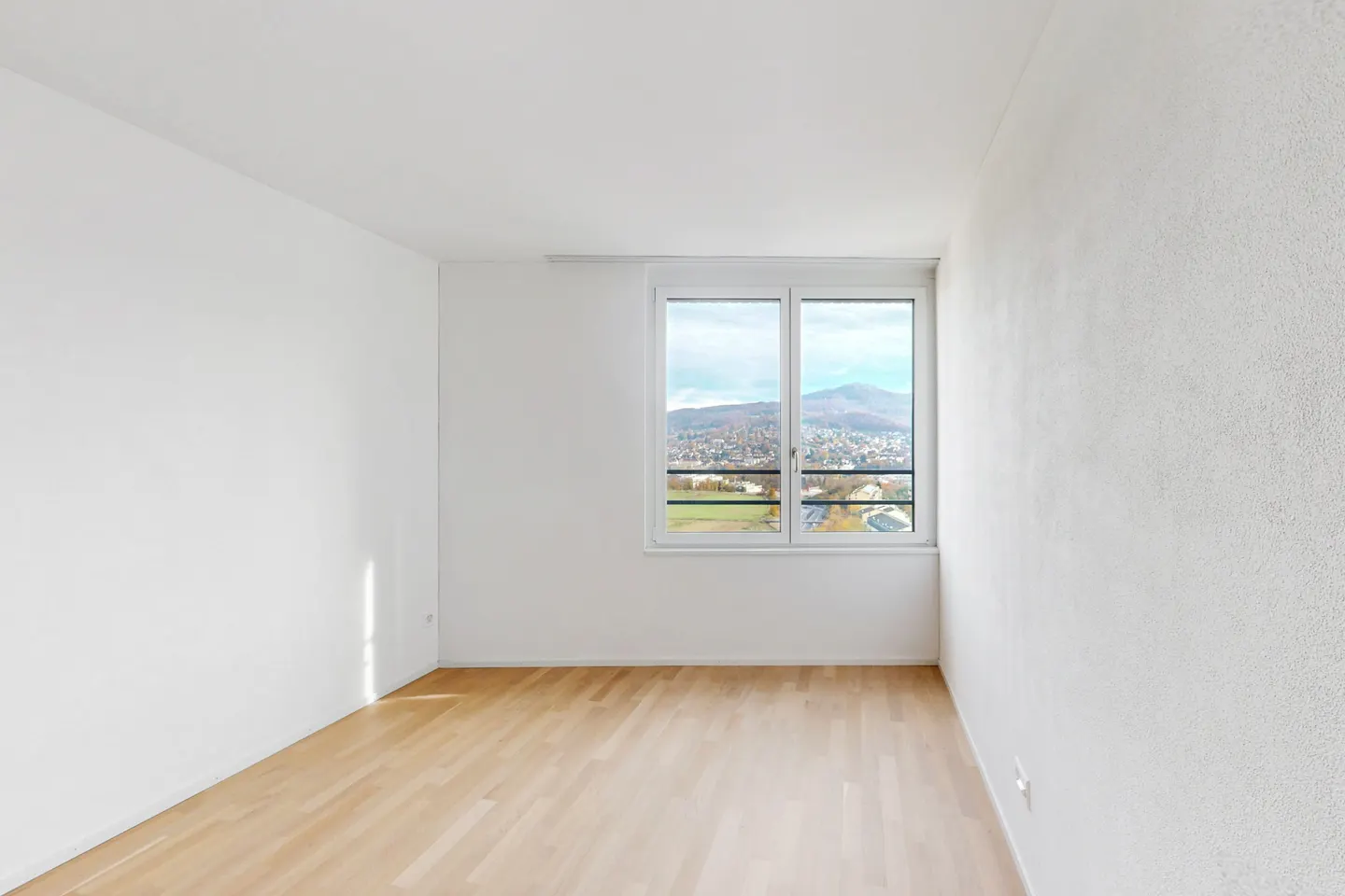 Modern Apartment in Aesch - Photo 3 of 4