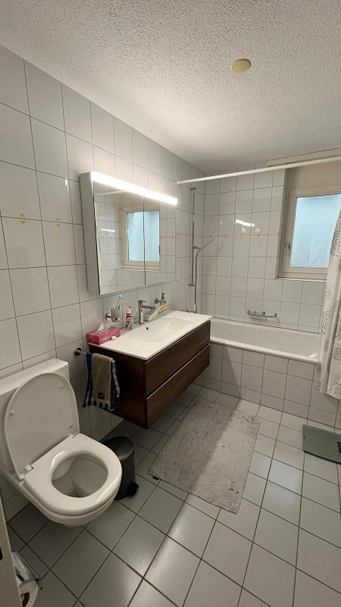 Ampia casa unifamiliare con panorama alpino a Egolzwil - Foto 6 di 13