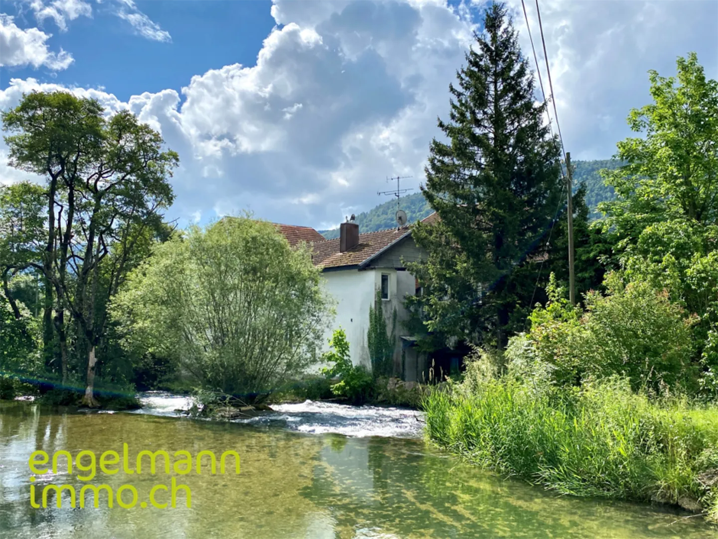 Village house with 6.5-room apartment, shop and annexes - Photo 4 of 13