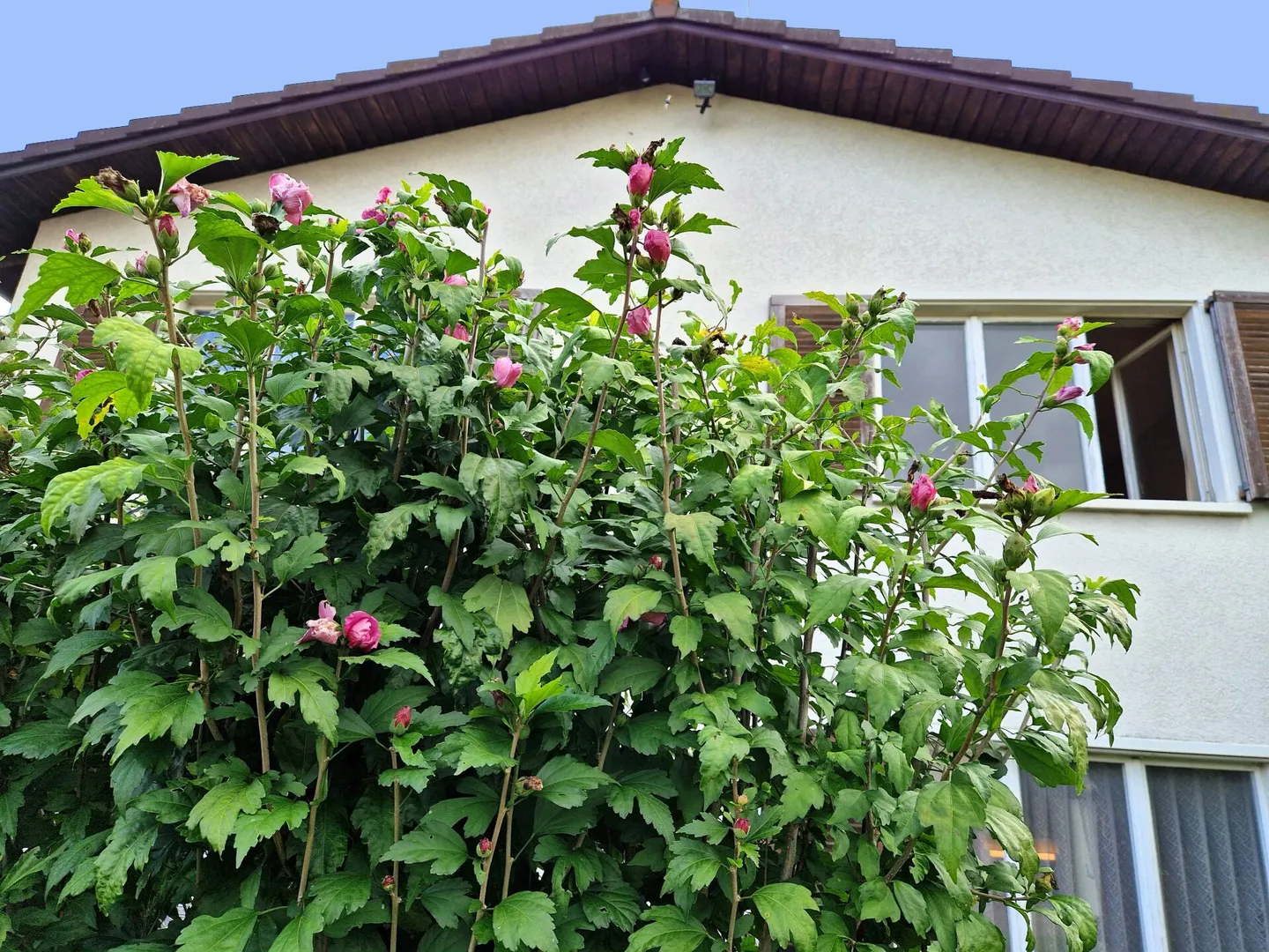 Viel Freiraum für Ihre Wohnvision - Foto 1 von 15