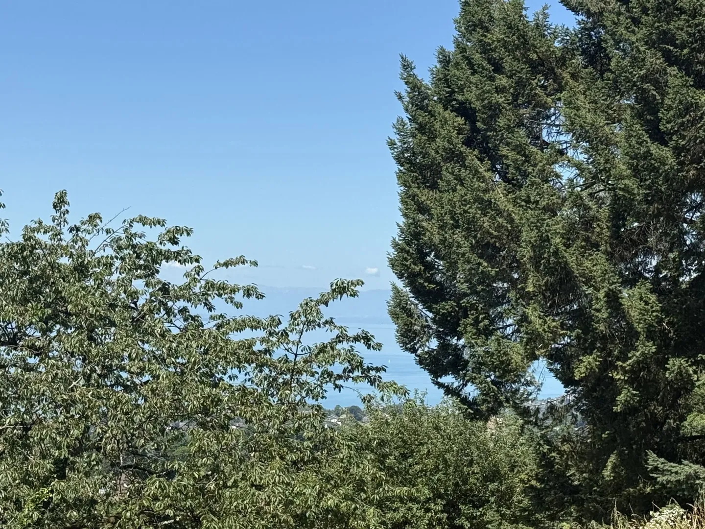 Last plot for sale - building permit in force - Photo 4 of 6