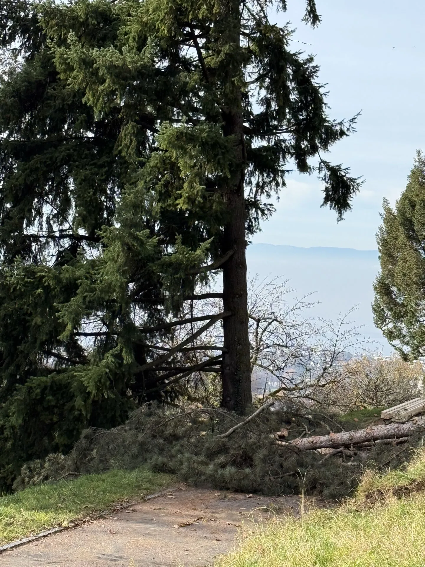 Last plot for sale - building permit in force - Photo 5 of 6