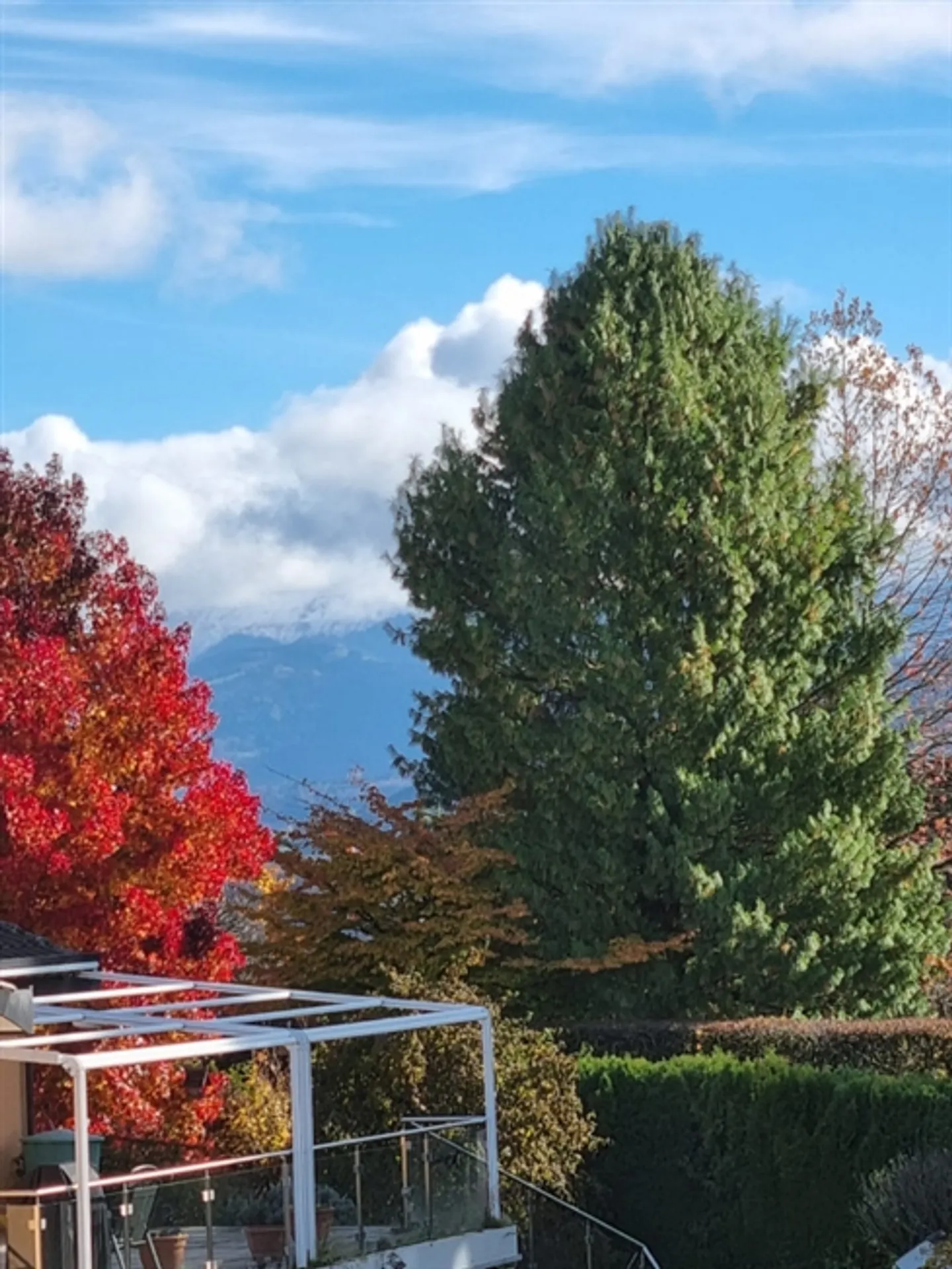 Wohnung mieten - Foto 10 von 10