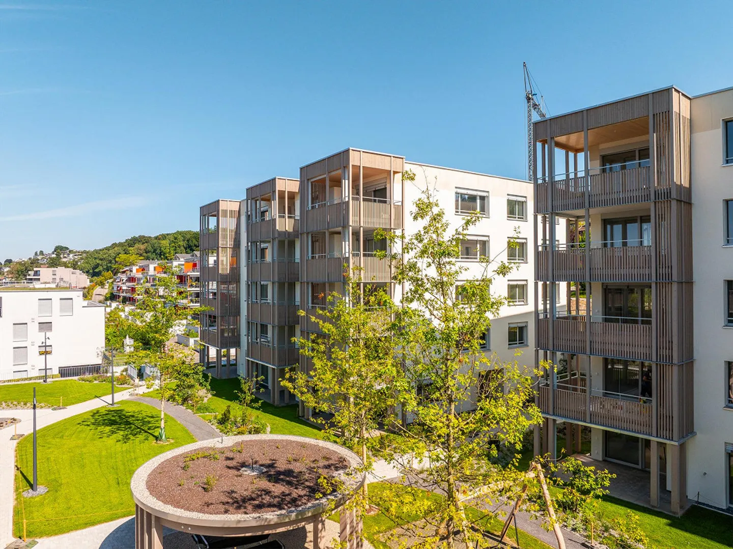 Prima occupazione appartamento 3.5 stanze - Foto 2 di 3