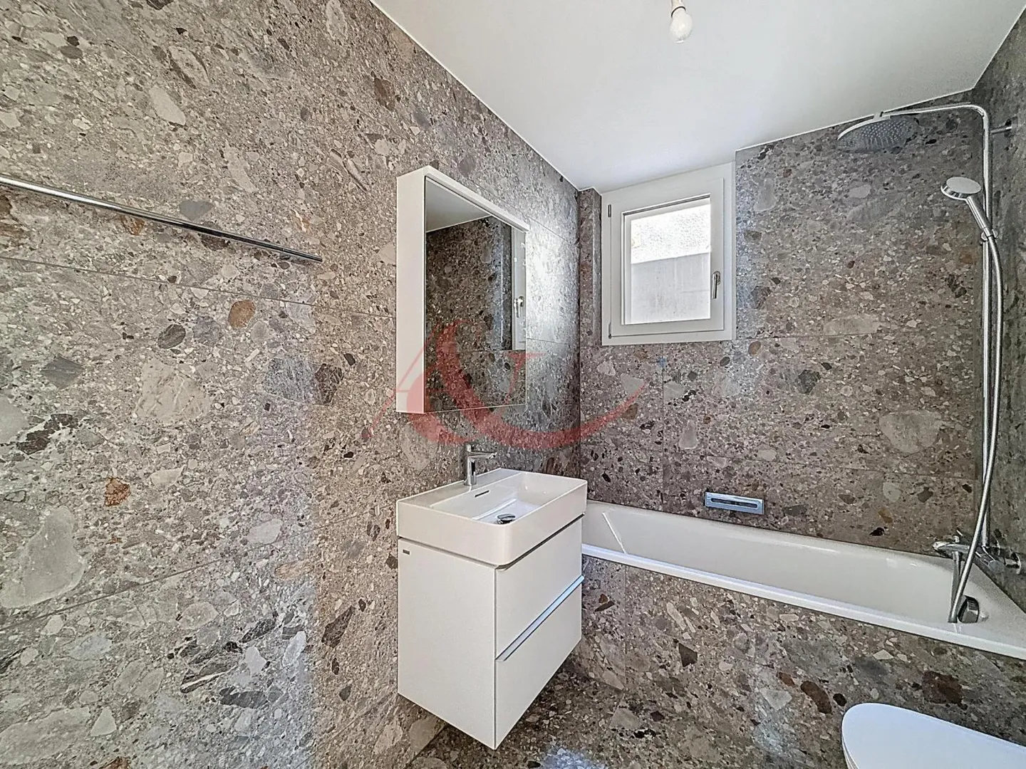 New - 4.5 Room Bright Apartment in Grandvaux - Part 4 - Photo 8 of 8