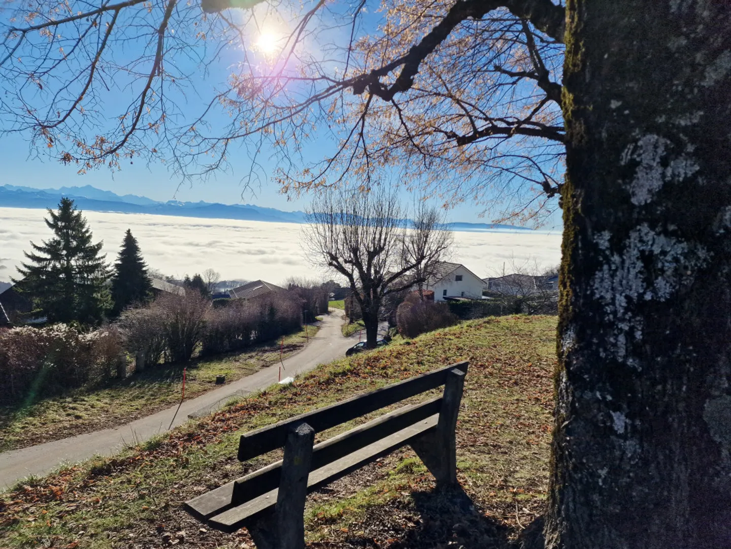 Off market: Una villa unica, contemporanea e individuale / area residenziale - Foto 4 di 8