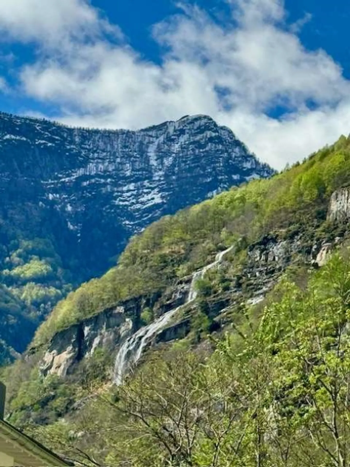 Appartement 3,5 pièces avec jardin - Photo 10 sur 17