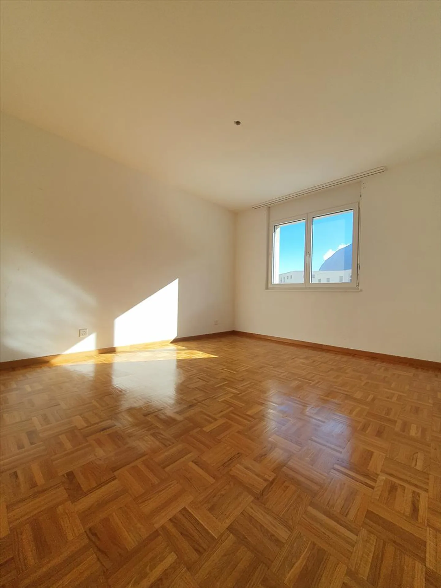 3.5 Room Apartment - Photo 4 of 5