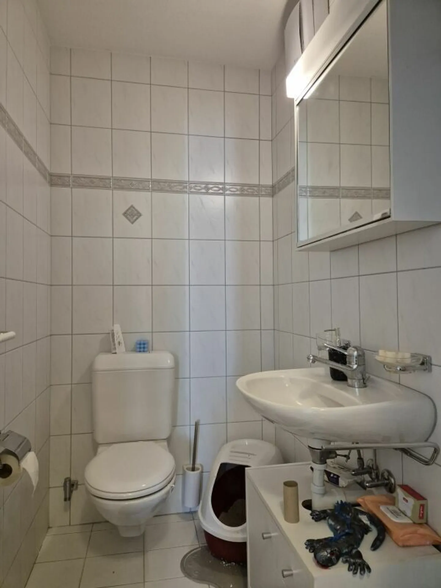ampio appartamento di 4.5 stanze (110m²) con balcone - Foto 7 di 7