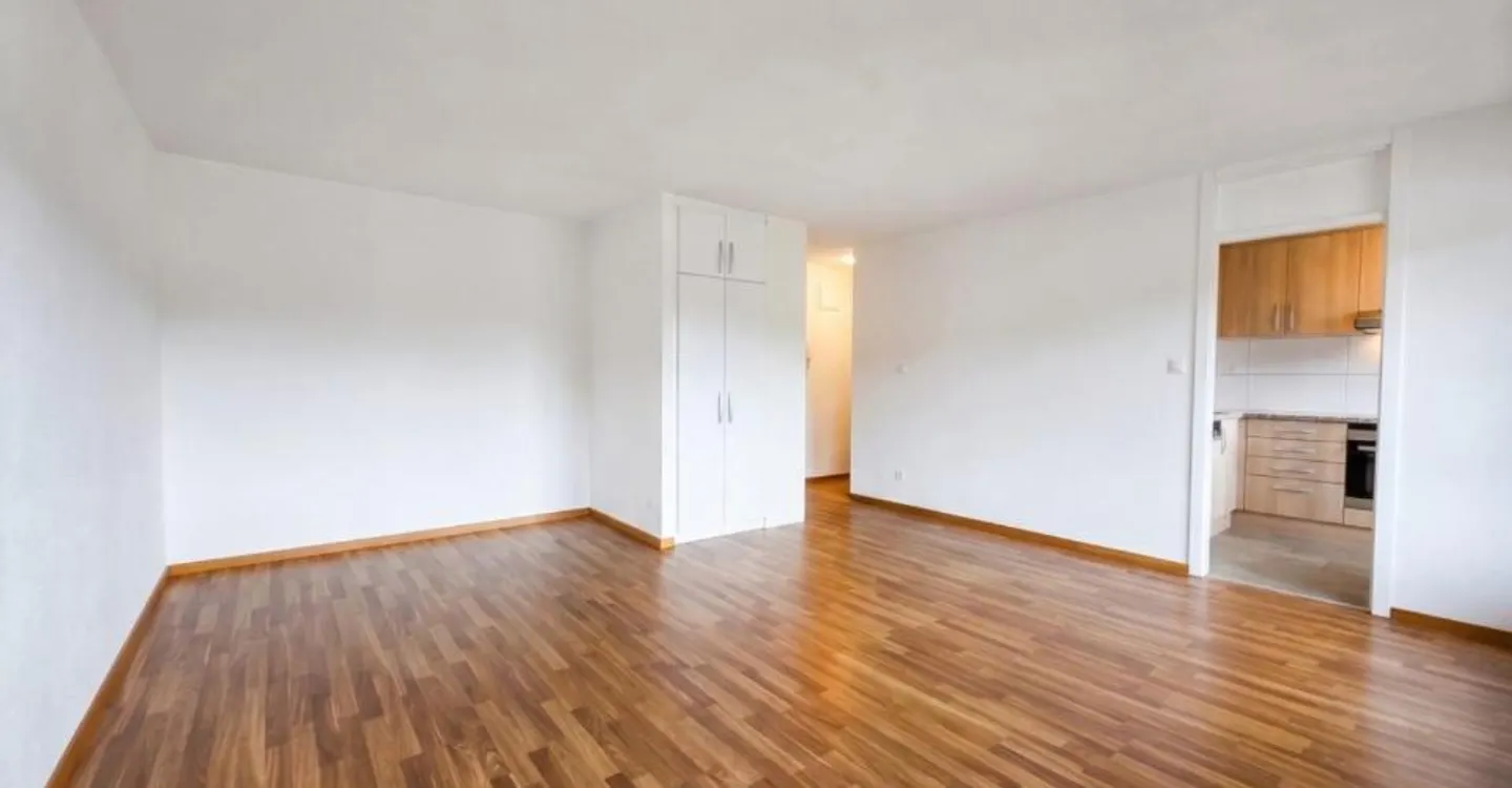 Appartement rénové charmant - Photo 2 sur 4