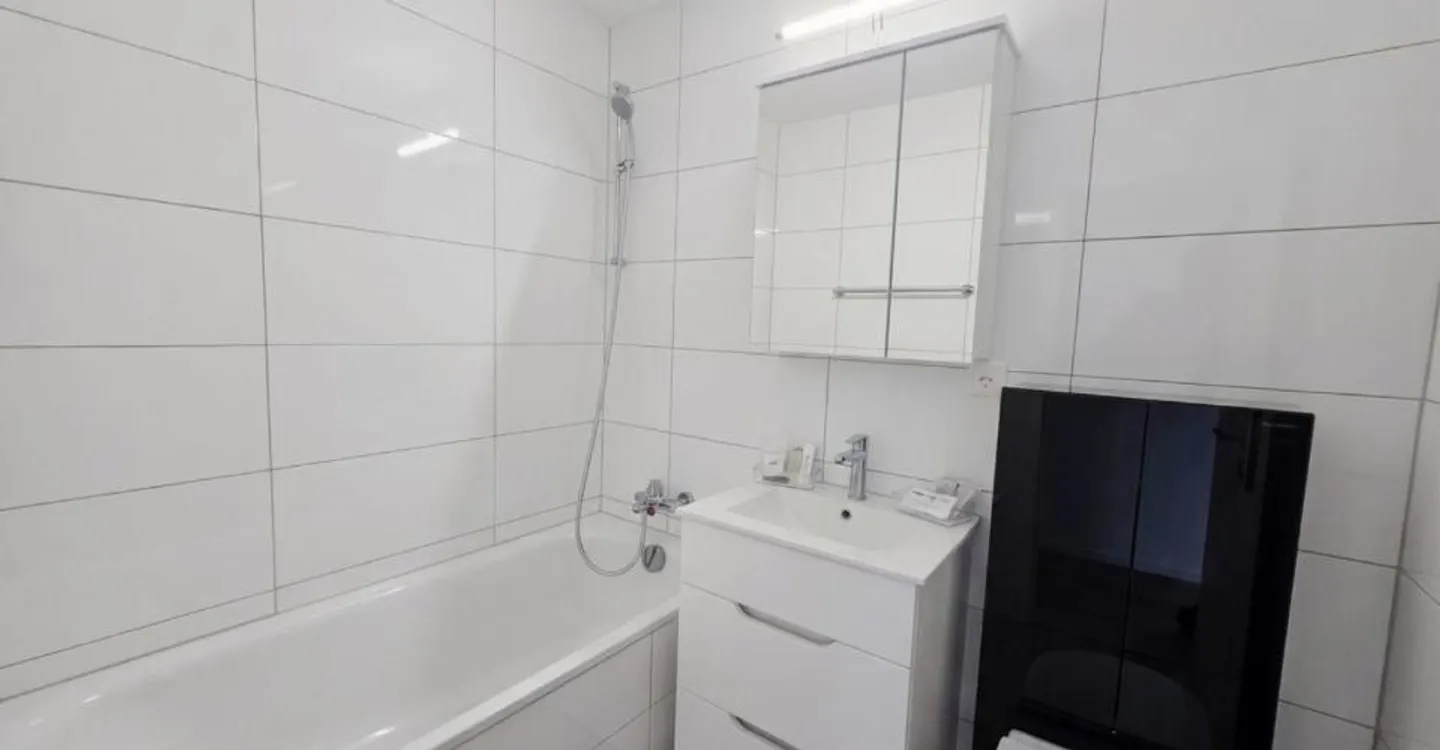Appartement rénové charmant - Photo 3 sur 4