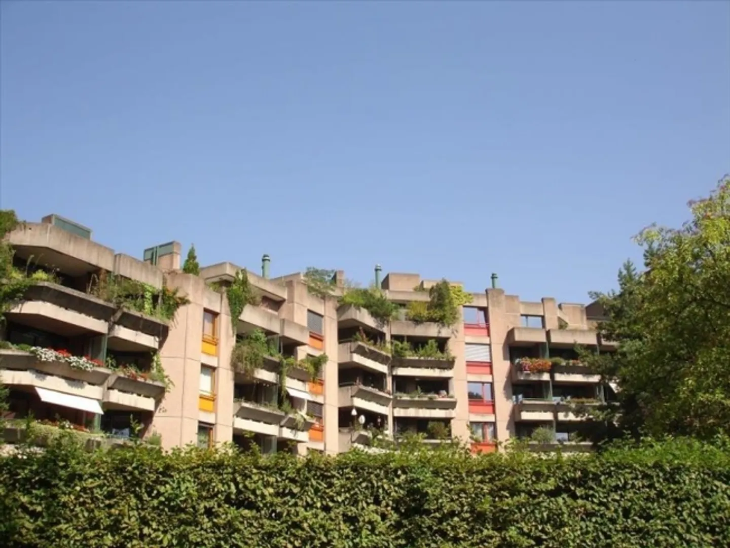 Vita urbana - Vita rilassata - Foto 1 di 1