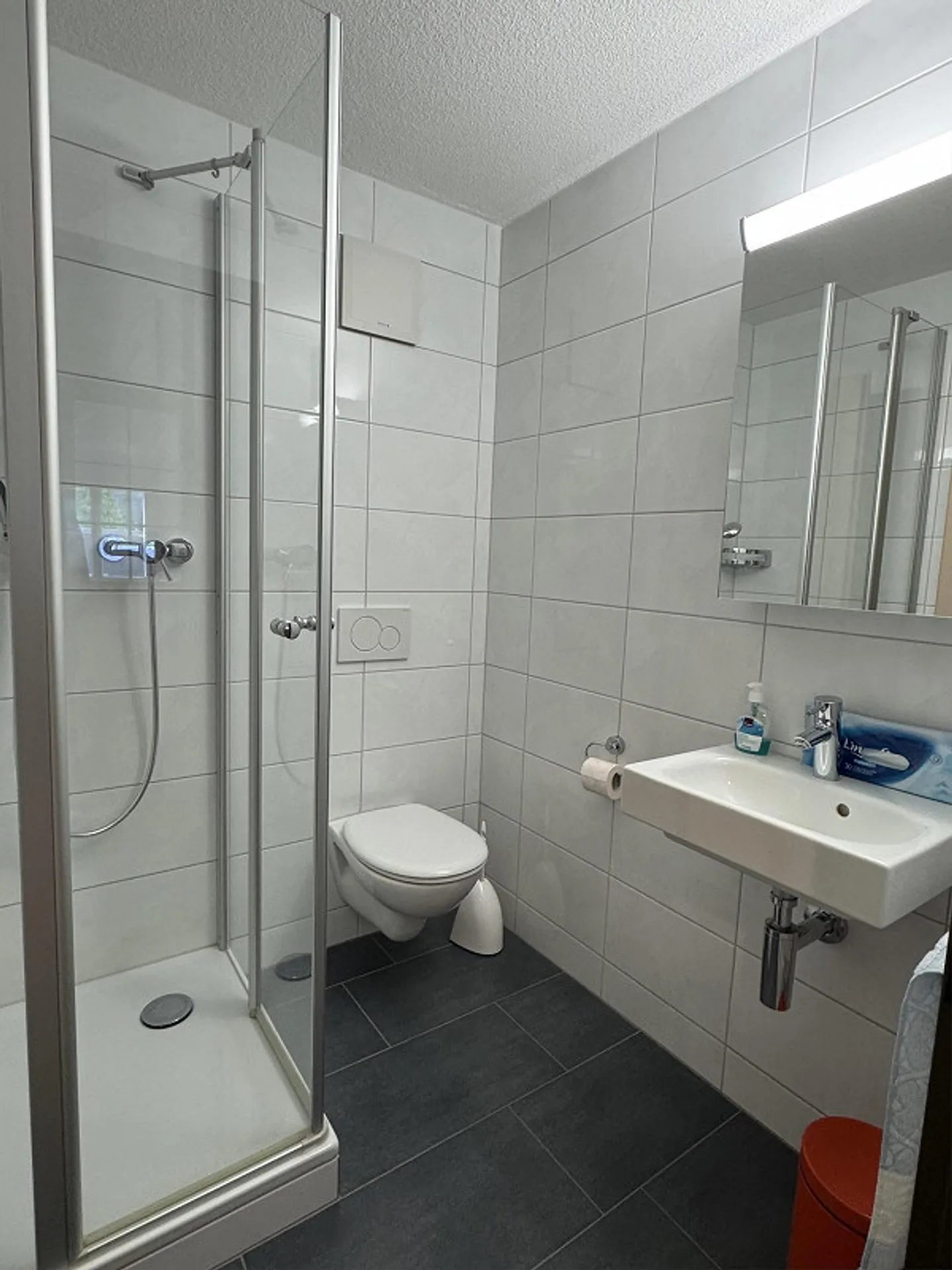 Cozy apartment in a quiet location in Oberriet SG - Photo 3 of 10