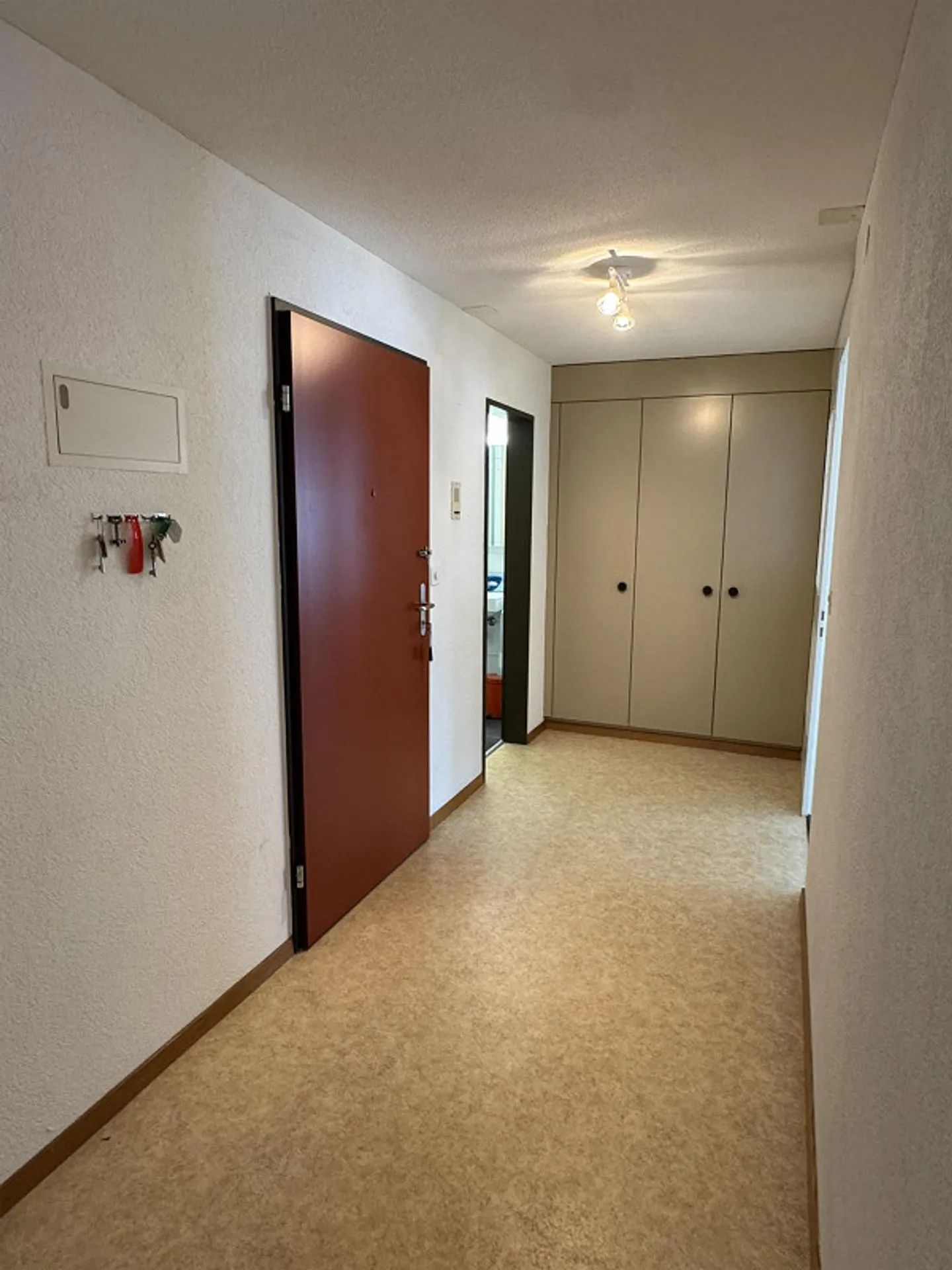 Cozy apartment in a quiet location in Oberriet SG - Photo 4 of 10