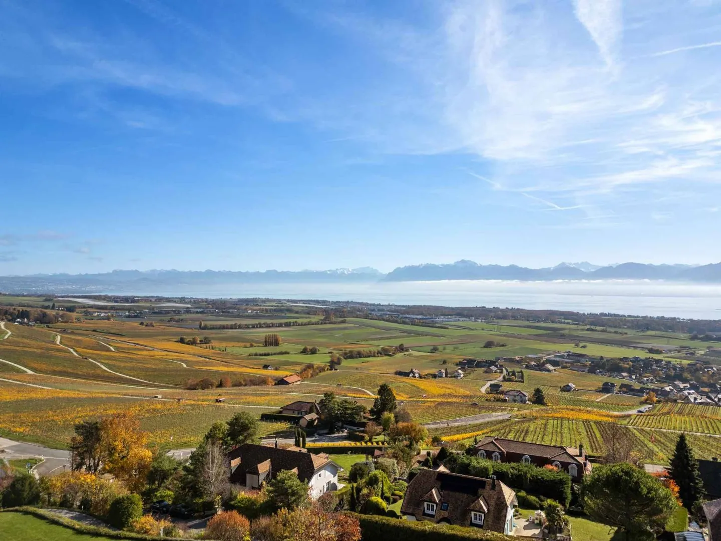 Elegante Villa mit Panorama über den Genfersee und die Alpen - Foto 2 von 13
