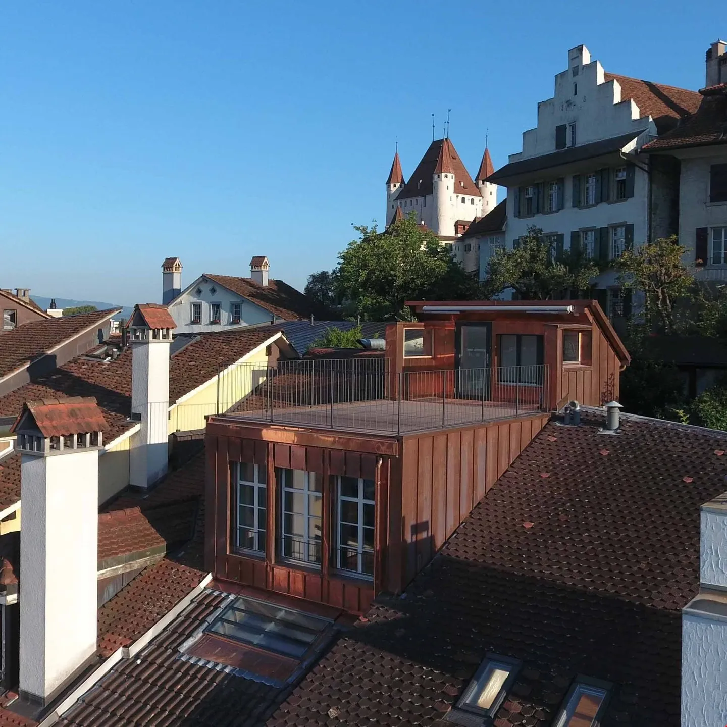 Meraviglioso attico 3 1/2 locali con grande terrazza - Foto 5 di 33