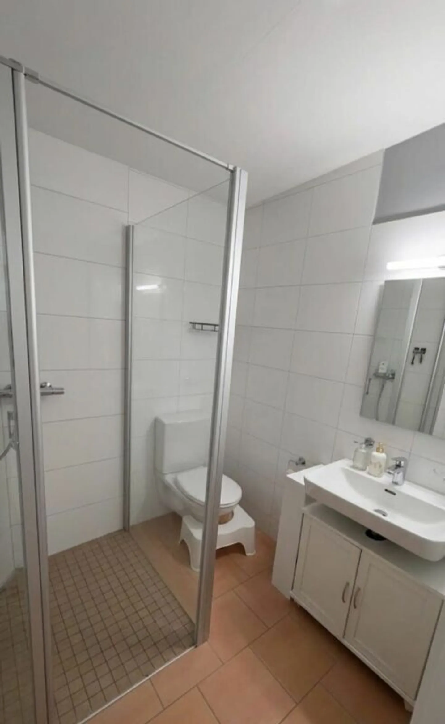 Penthouse apartment with stunning views of the Säntis - Photo 7 of 11