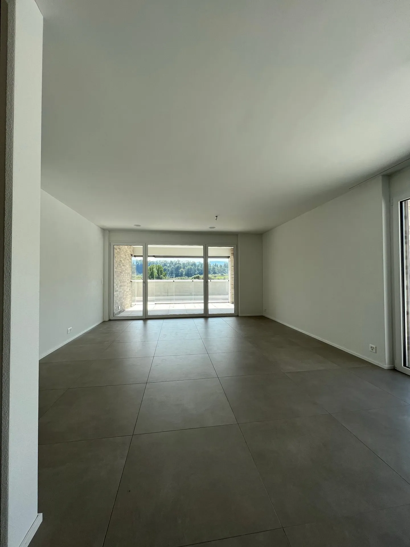 Modern 3-room penthouse with panoramic views in Zwingen - Photo 4 of 20