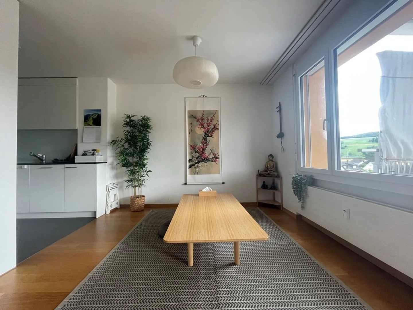 Spacious Apartment in the Center of Birmensdorf ZH - Photo 3 of 9