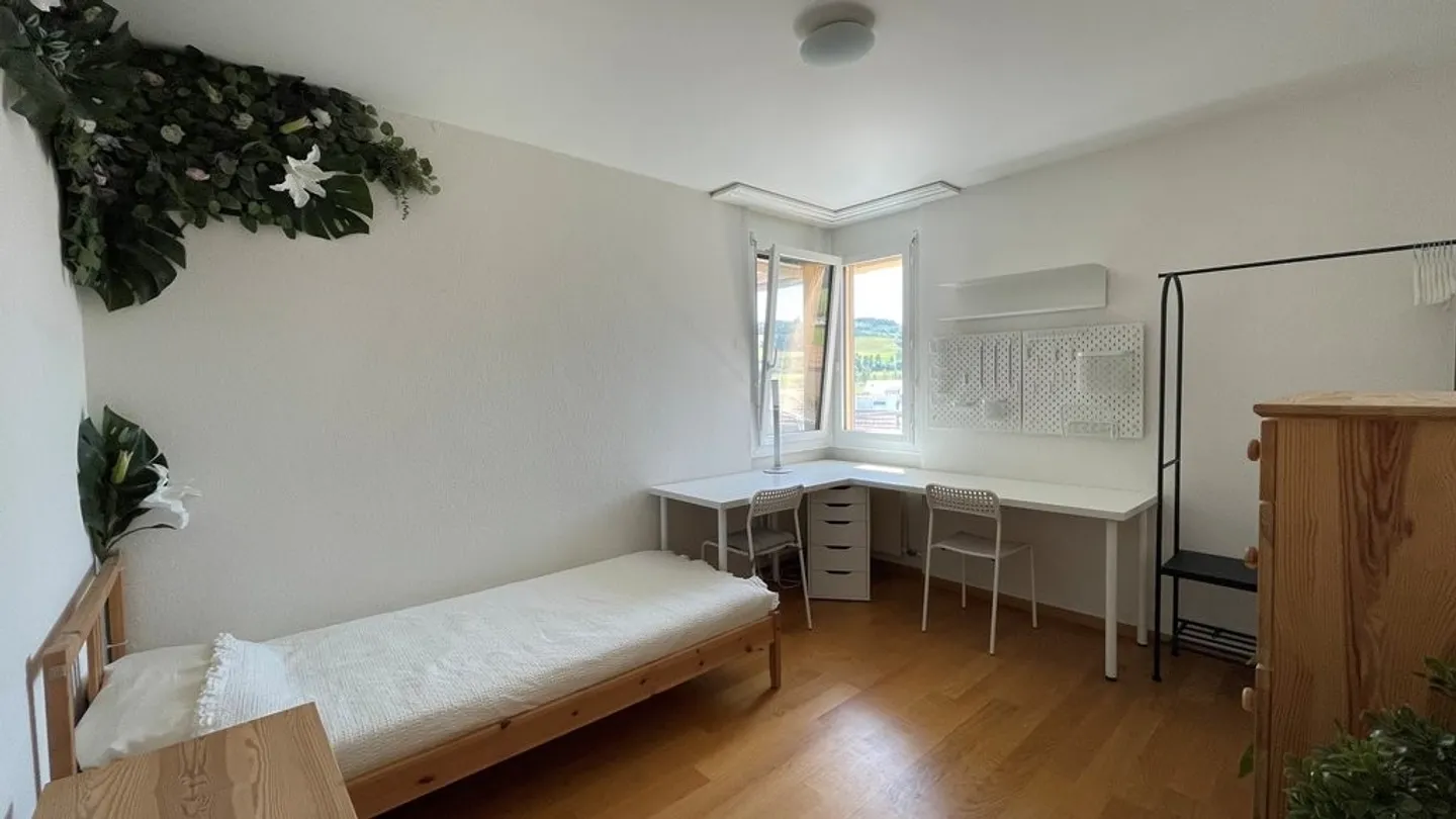 Spacious Apartment in the Center of Birmensdorf ZH - Photo 5 of 9