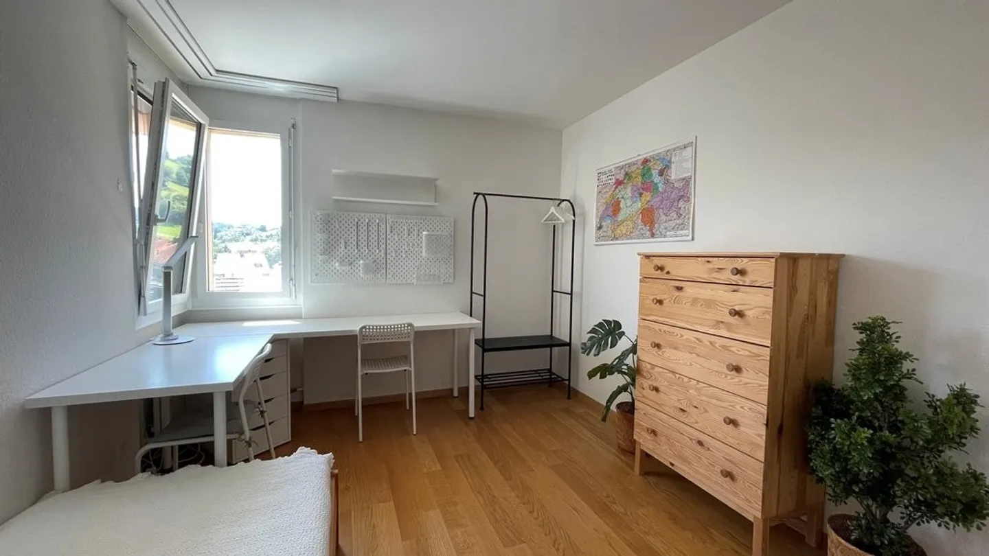 Spacious Apartment in the Center of Birmensdorf ZH - Photo 6 of 9