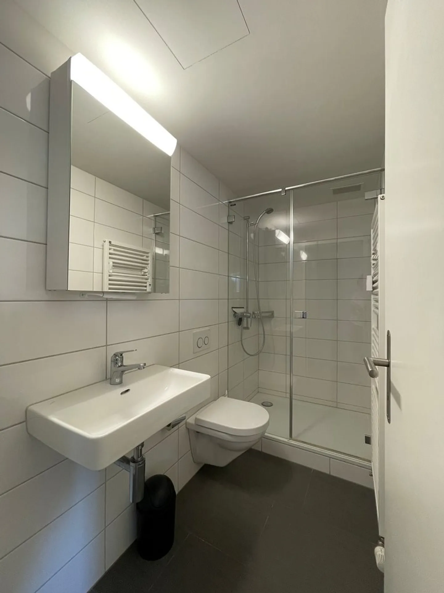 Spacious Apartment in the Center of Birmensdorf ZH - Photo 7 of 9