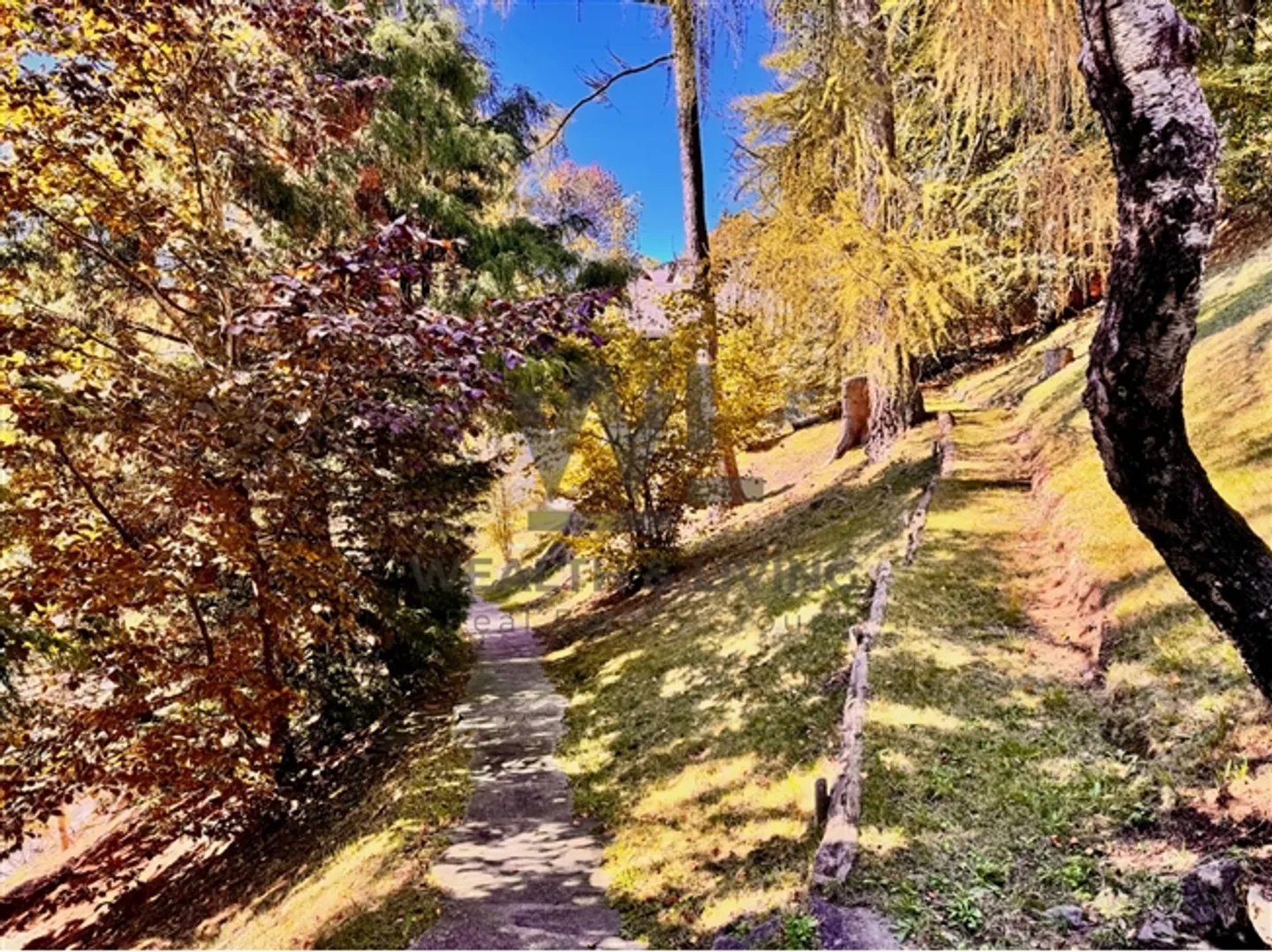 Chalet avec terrain constructible de 1387 m² et garage - Photo 13 sur 13