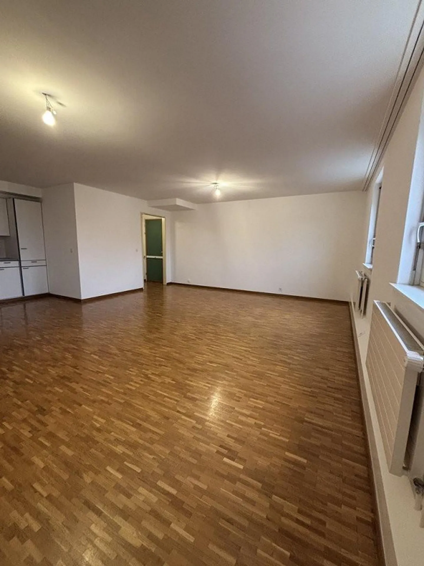 Magnifique appartement dans un emplacement idéal près des Nations et de la gare - Photo 3 sur 8