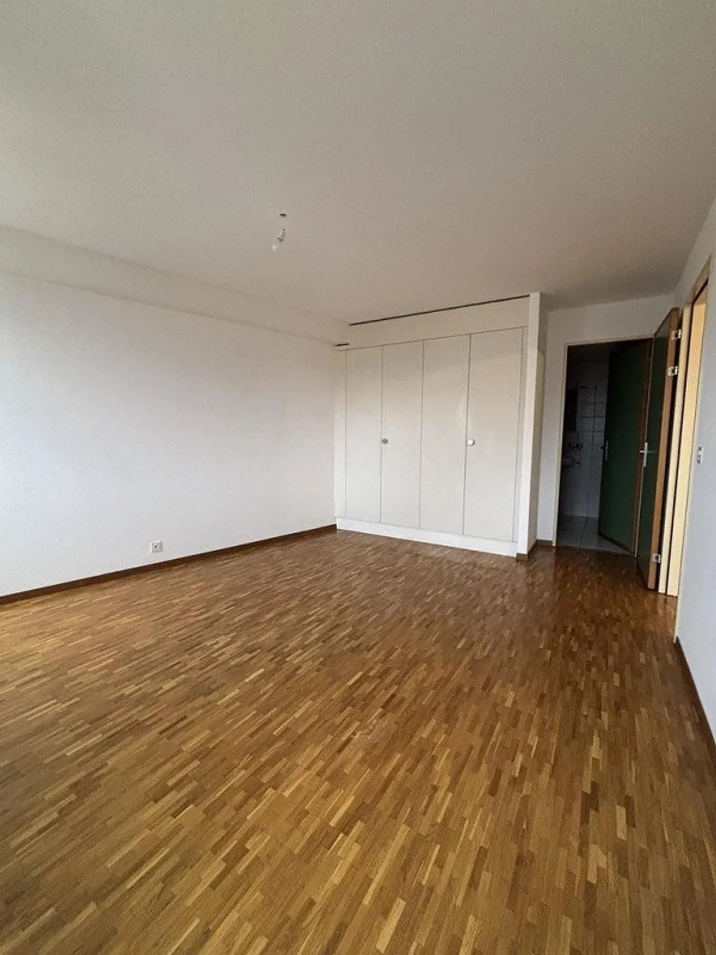 Magnifique appartement dans un emplacement idéal près des Nations et de la gare - Photo 5 sur 8