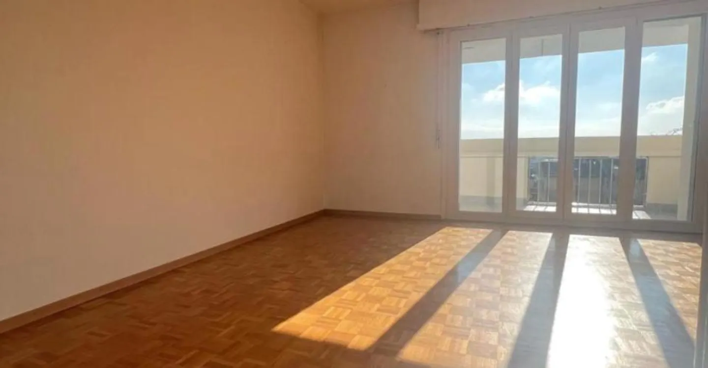 Beautiful view in a charming renovated 4.5-room apartment on the 1st floor - Photo 3 of 8