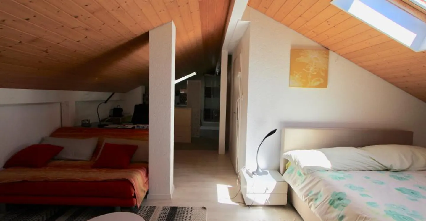 Penthouse apartment, enhanced by a skylight and a view of the lake - Photo 12 of 20