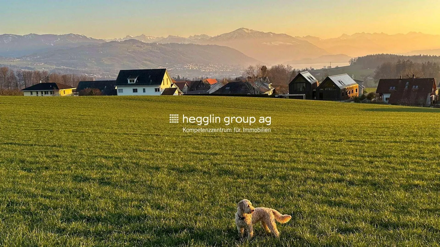 Il design moderno incontra la sostenibilità - Foto 13 di 13