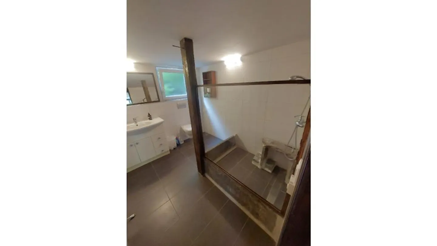 APPARTEMENT 2½ PIÈCES À HASLIBERG HOHFLUH (BE), MEUBLÉ, TEMPORAIRE - Photo 6 sur 10