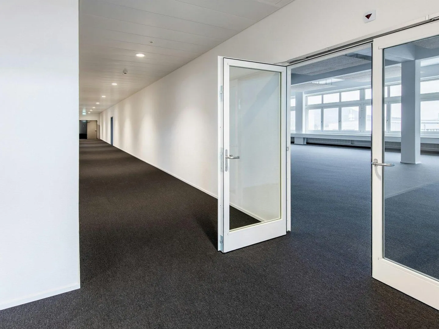 Freshly renovated, bright offices from 60 m² - 250 m² with storage option - Photo 6 of 13