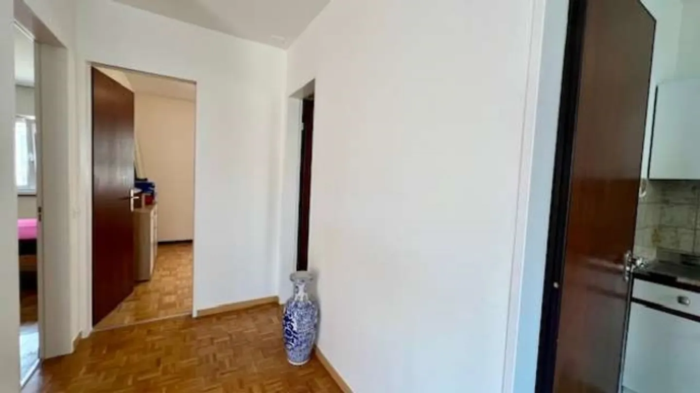 Comfortable apartment with lake view - Photo 4 of 10