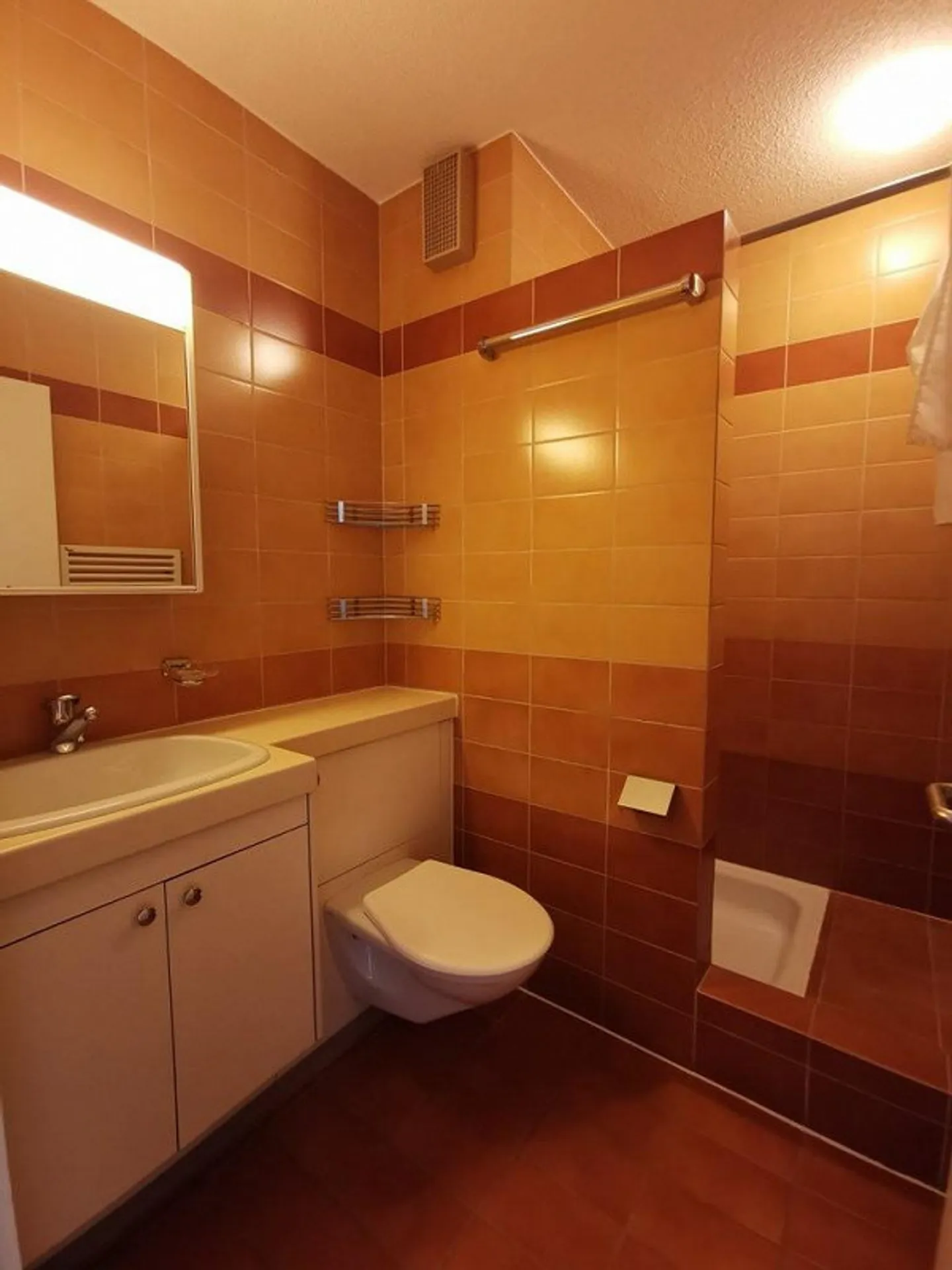 Herrliche Aussicht in Höngg / Befristet bis 30.09.2026 - Foto 5 von 5